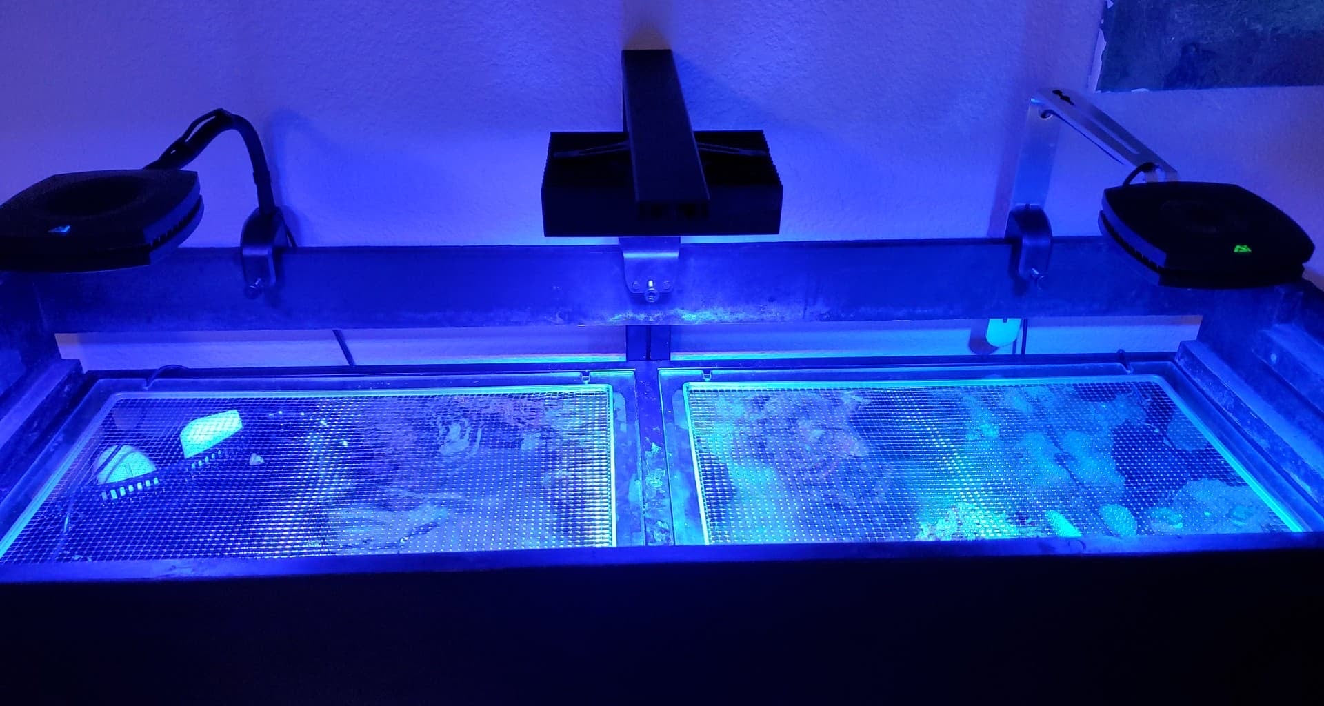 Aio aquarium on sale