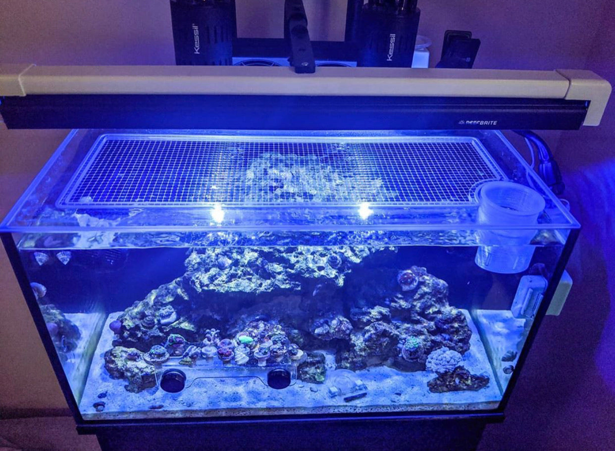 Innovative Marine NUVO FUSION 20 All-In-One (AIO) Long Lid