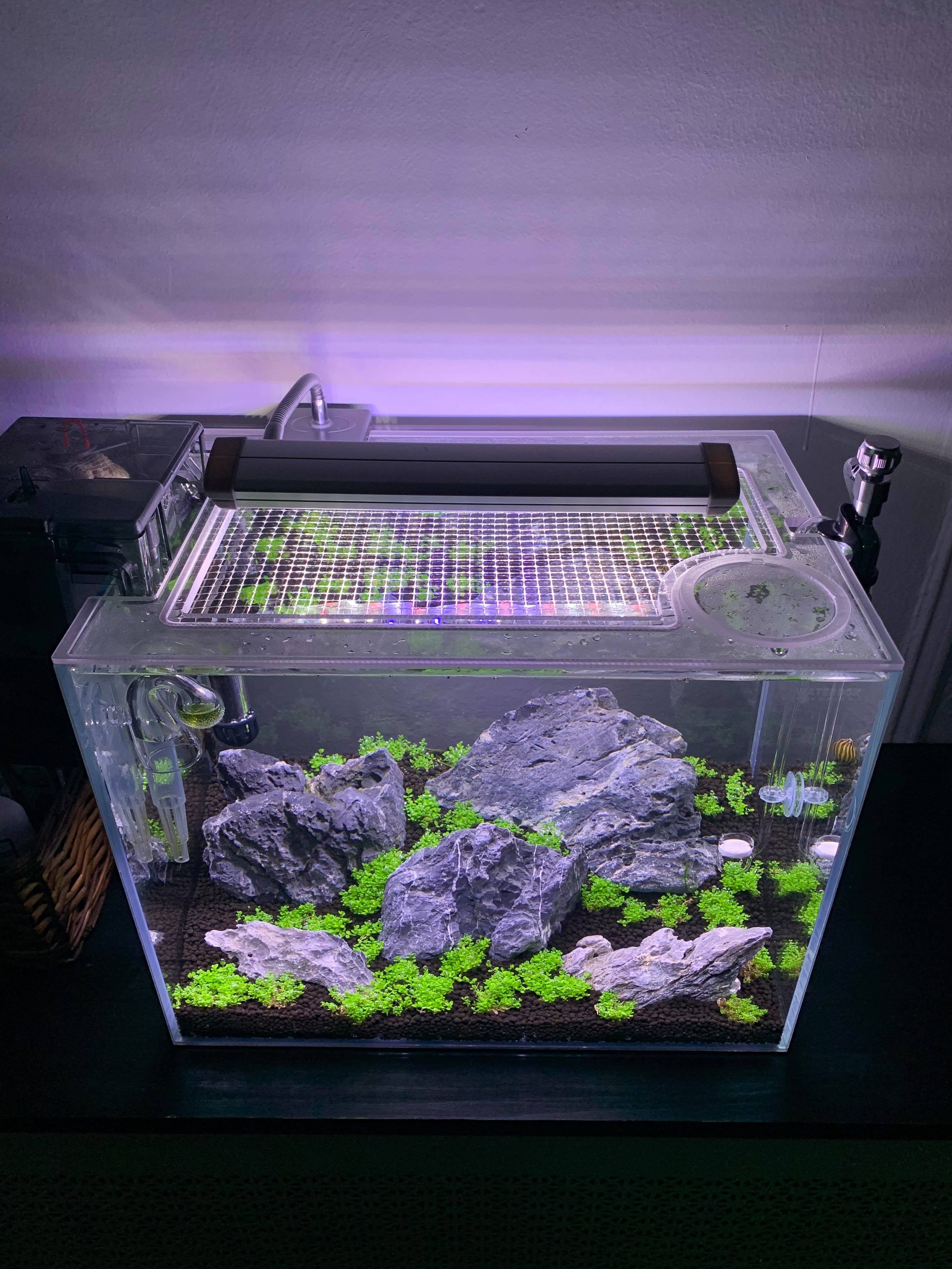 10 Gallon Aquarium Lid Reversible Polycarbonate Lid (Tank not included)
