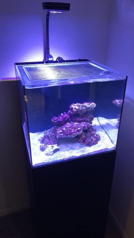 Fiji Cube 48 Gallon Shallow EXT/INT Lid Fiji Cube 48 Gallon Shallow EXT/INT Lid