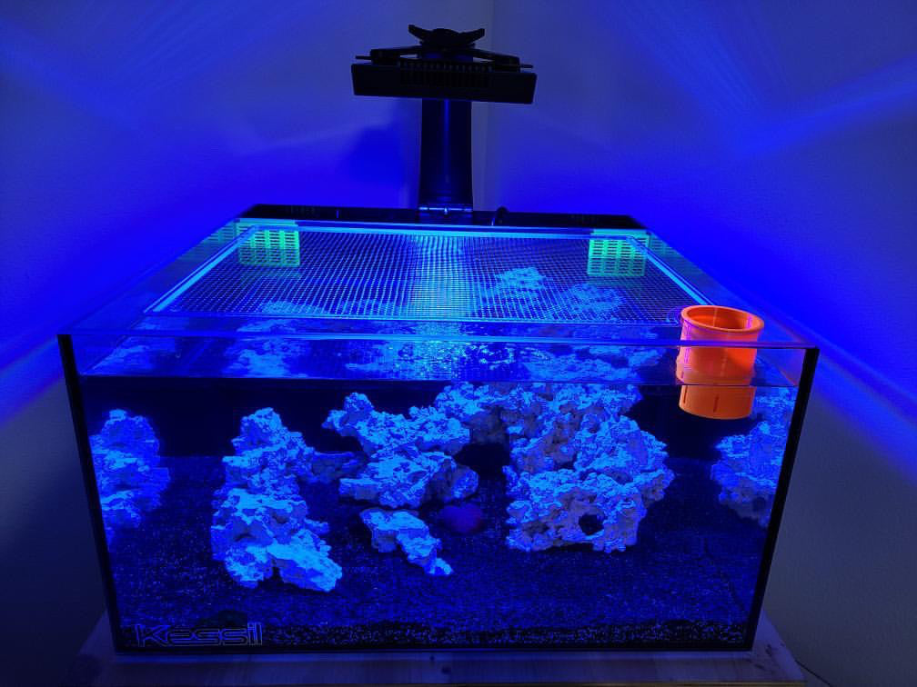 Fiji Cube 48 Gallon Shallow EXT/INT Lid Fiji Cube 48 Gallon Shallow EXT/INT Lid