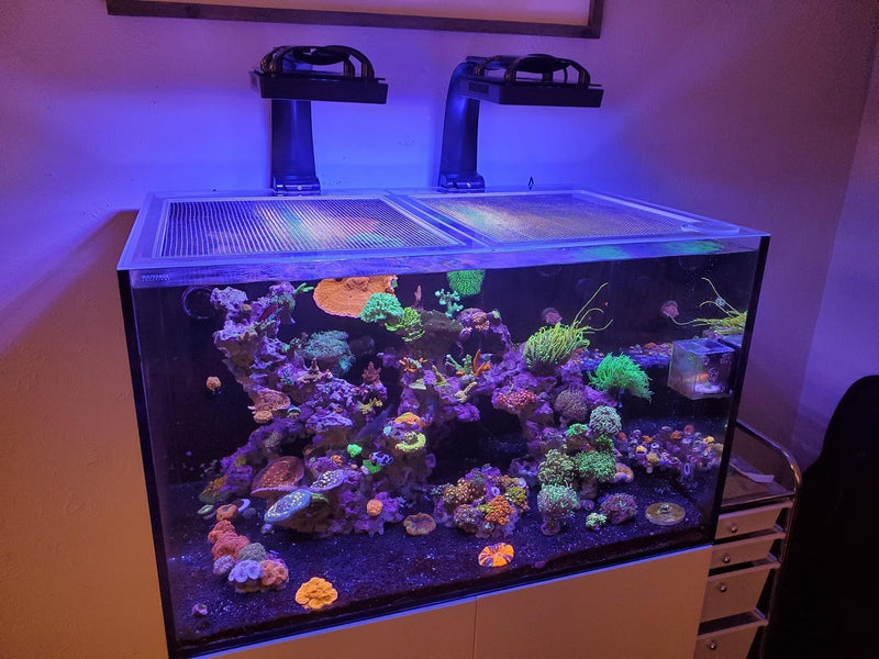Tideline Crystaline Premium Reef 60" x 24" Lid