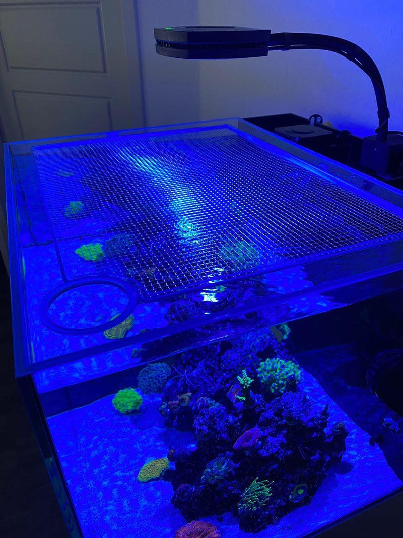 Fiji Cube 10 Gallon Nano AIO Lid