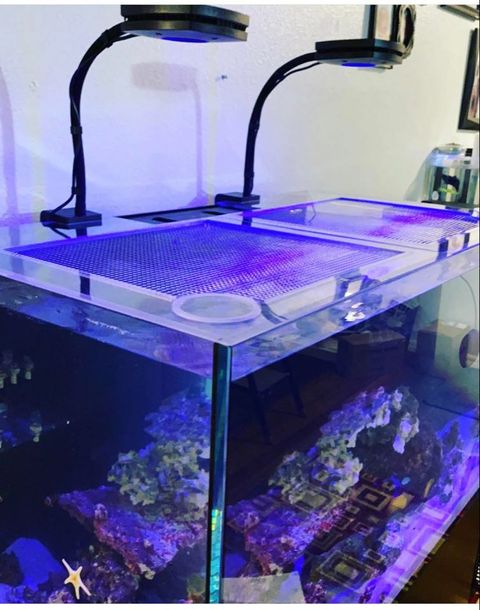 Red Sea REEFER 350 Lid (Older Generation / Not G2 Version)