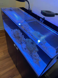 IceCap 60 Gallon All-In-One (AIO) Lid