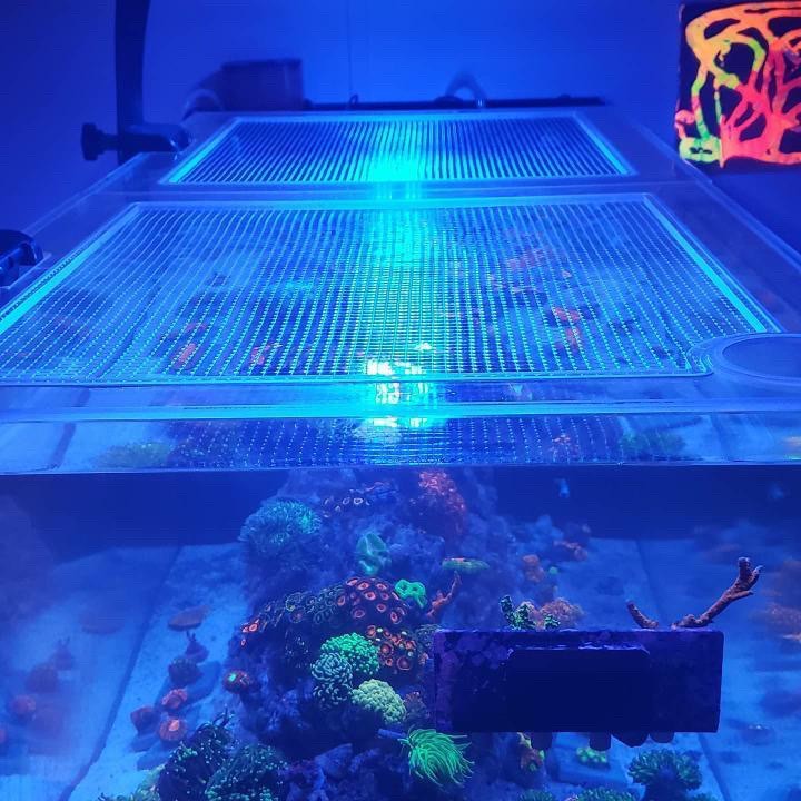 Fiji Cube 38 Gallon Peninsula AIO Lid