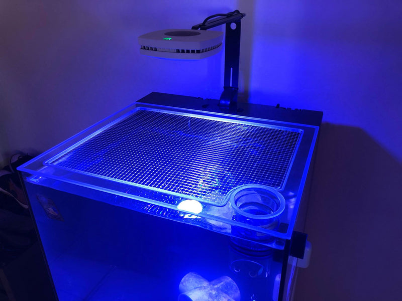 Maxspect Dice AIO 12 Gallon Nano Cube Lid