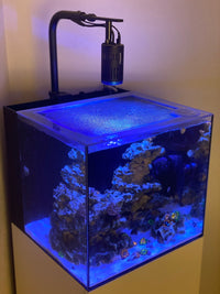 Maxspect Dice All-In-One (AIO) 12 Gallon Nano Cube Lid