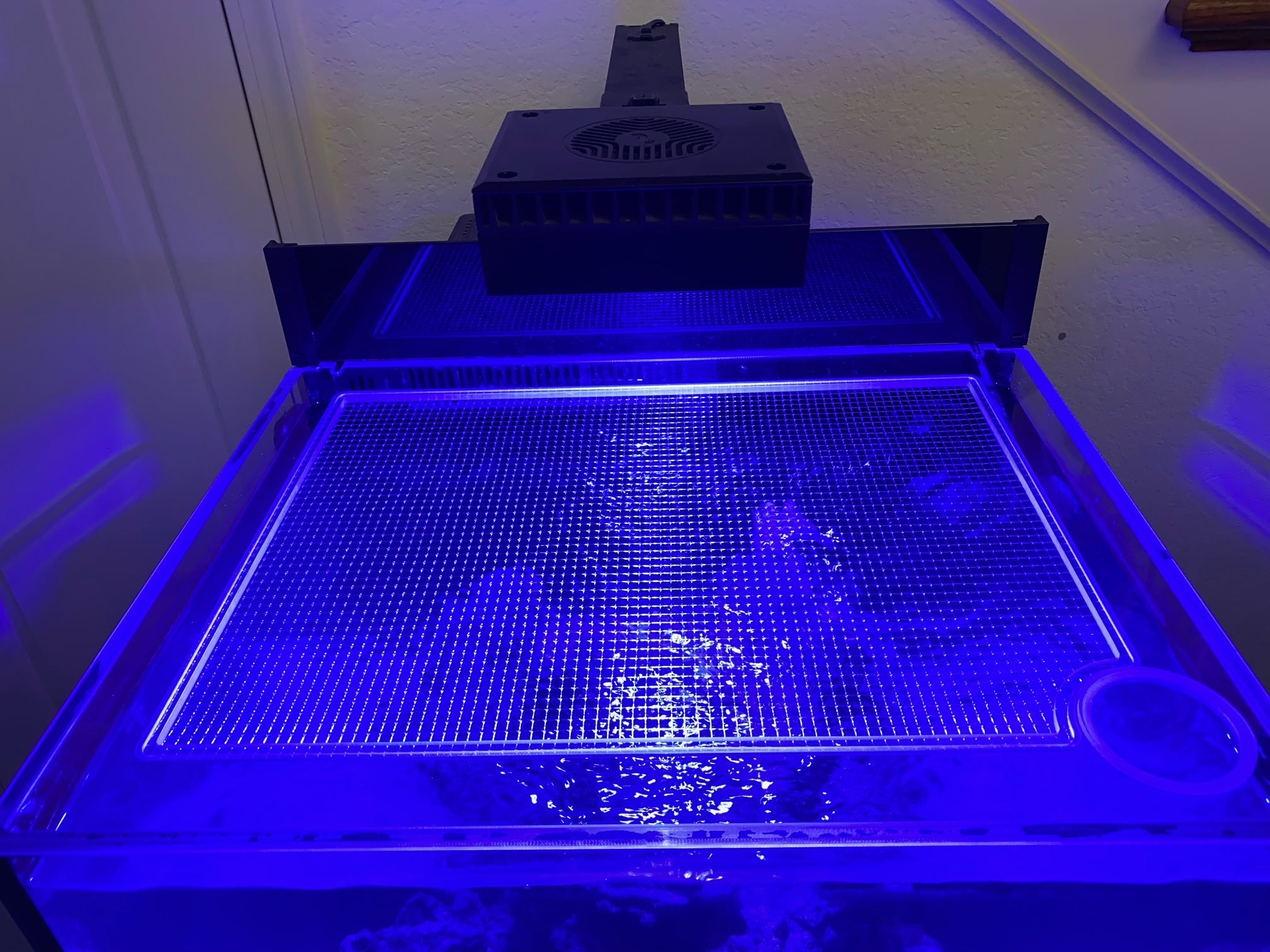 【山ちゃん】オーダー蓋付　REDSEA reefer170 Red Sea REEFER 170 Lid (Older Generation)