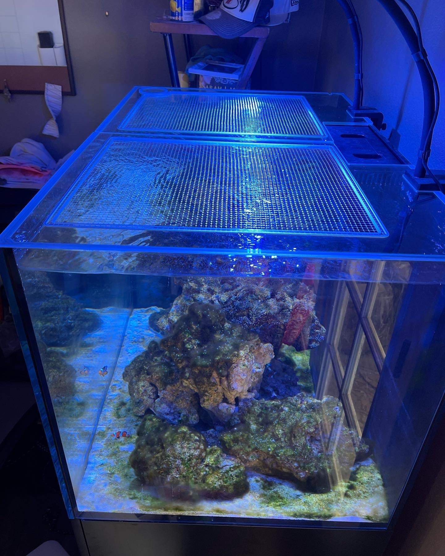 Red Sea REEFER / REEFER MAX 300 G2 / G2+ / G3 Lid