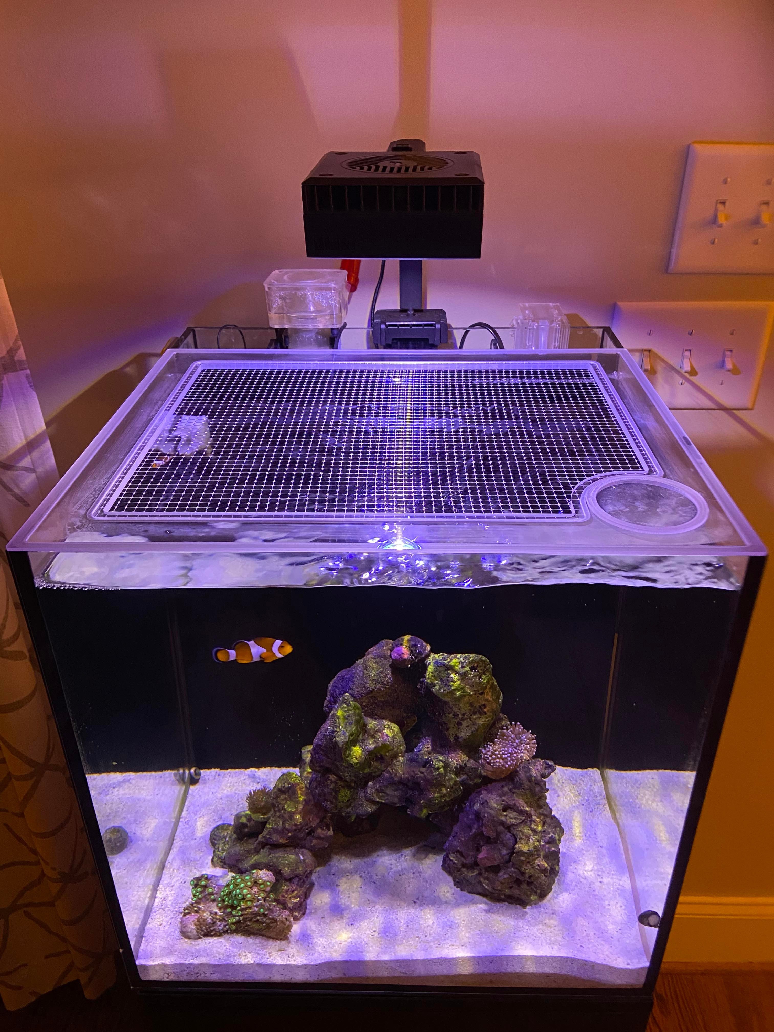 AQUA Coral出品ページ AQUATOP Recife ECO 24 Gallon Lid