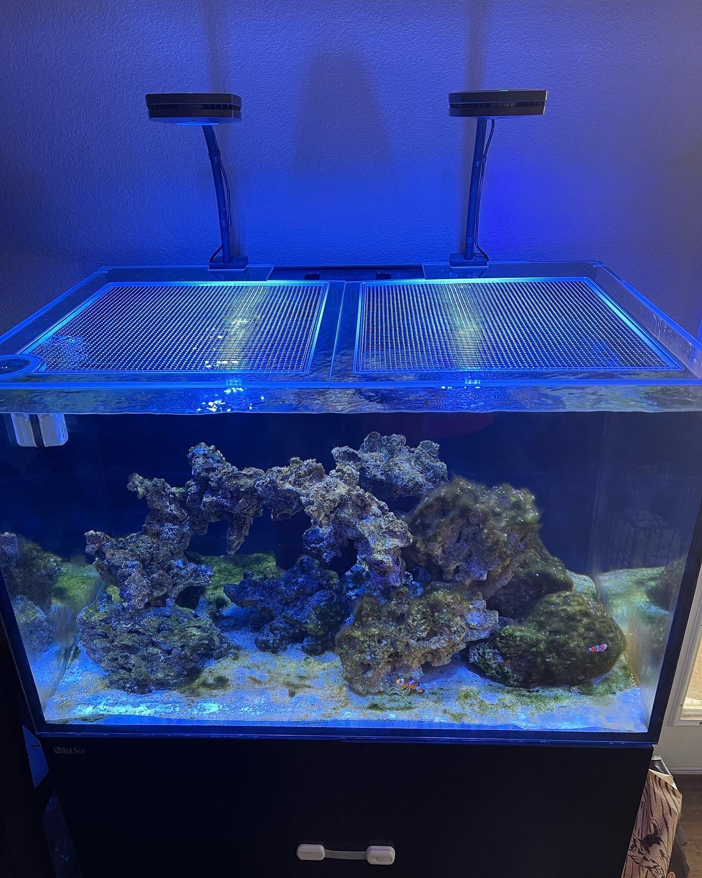 Red Sea REEFER / REEFER MAX 300 G2 / G2+ Lid