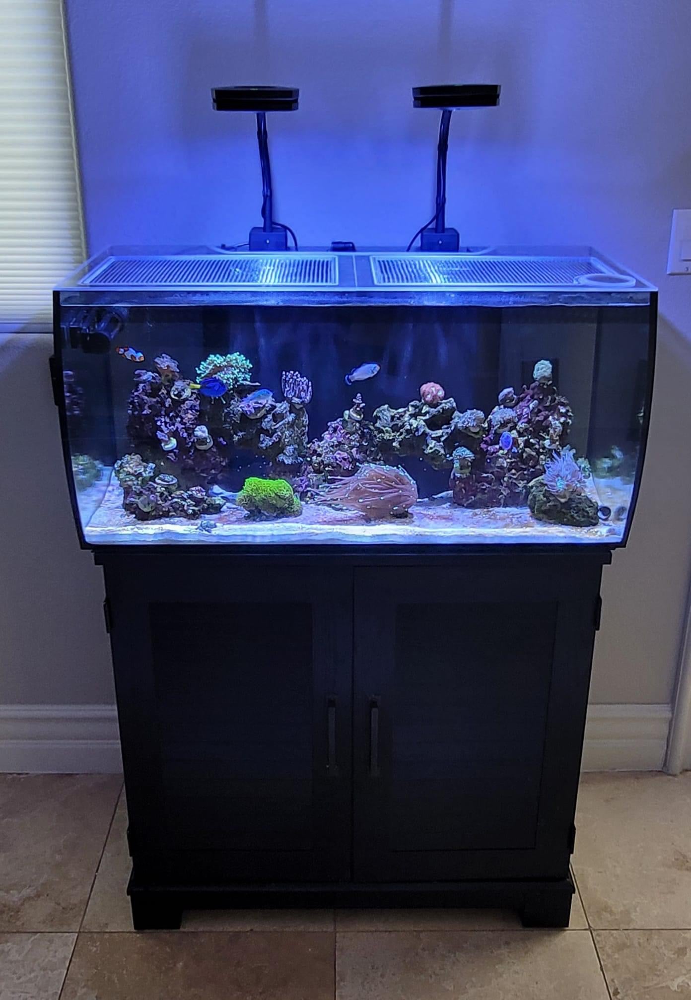 Fluval flex 32.5 clearance gallon