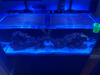 IceCap 60 Gallon All-In-One (AIO) Lid