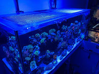 Red Sea REEFER 250 Lid (Older Generation / Not G2 Version)