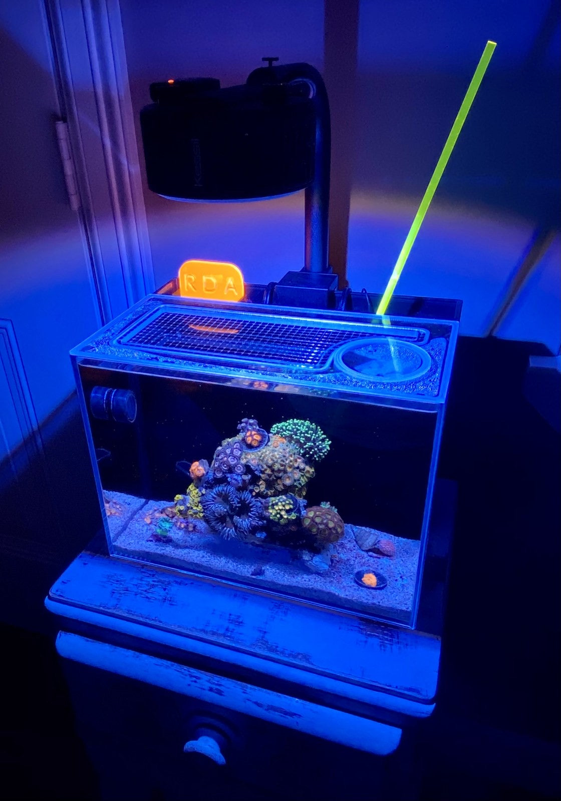 All in on sale one reef tank