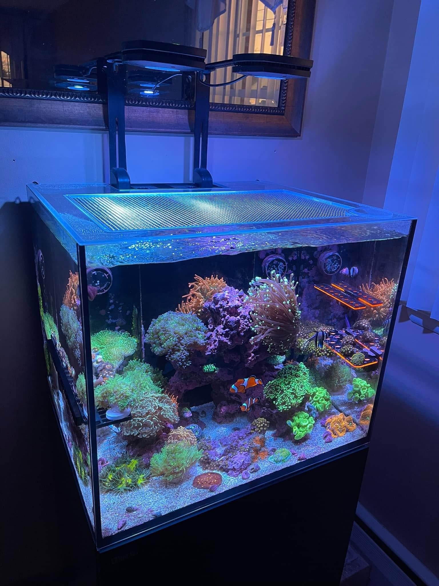 Red Sea REEFER / REEFER MAX 170 G2 / G2+ Lid