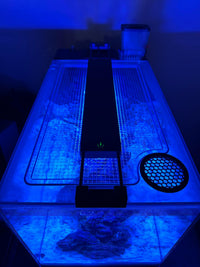 Fluval EVO 13.5 Lid