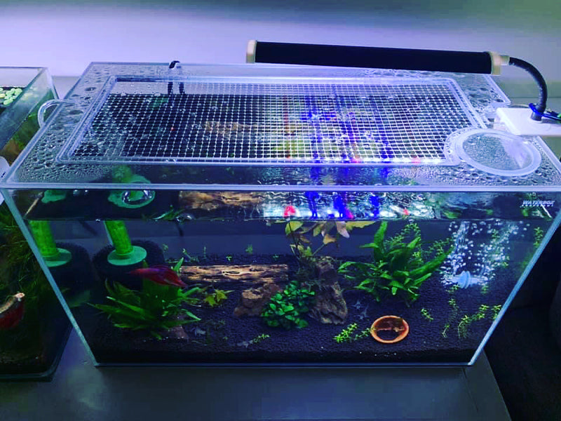 Waterbox CLEAR MINI 16 Lid