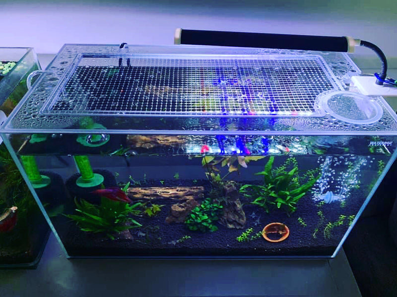 Waterbox MARINE All-In-One (AIO) 40.2 Lid