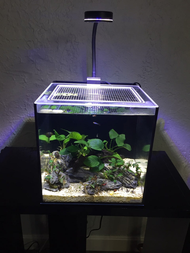 Tideline All-In-One (AIO) 7.1 Gallon Cube Lid